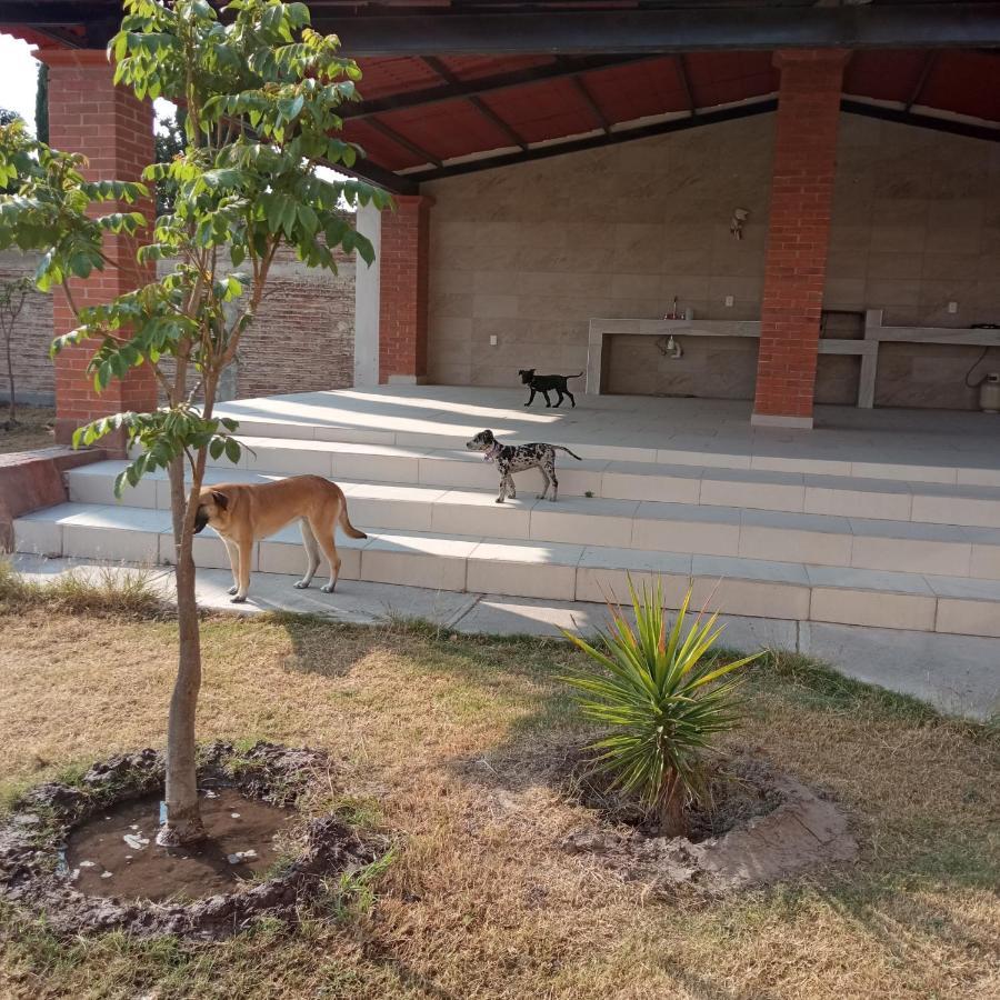 塞拉亚Quinta Los Arcos别墅 外观 照片