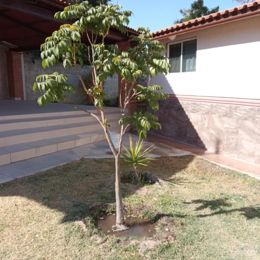 塞拉亚Quinta Los Arcos别墅 外观 照片